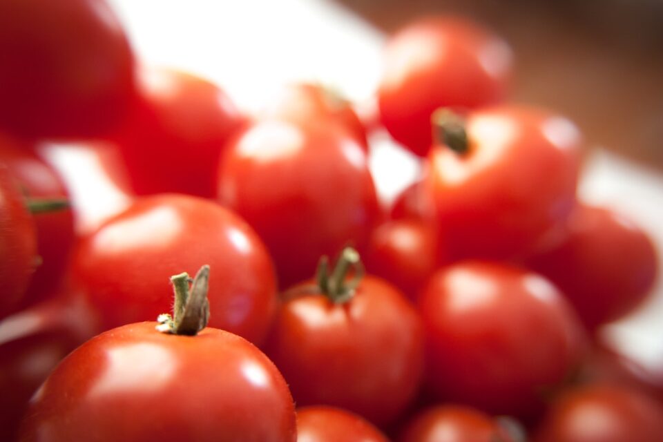 wloskie pomidory